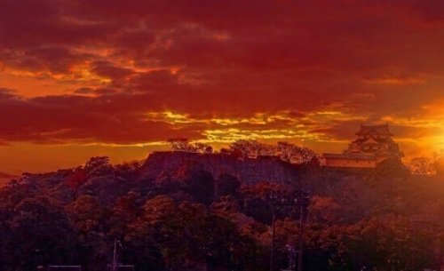 彦根城 | 赤備えの城下に息づく400年の深層史観