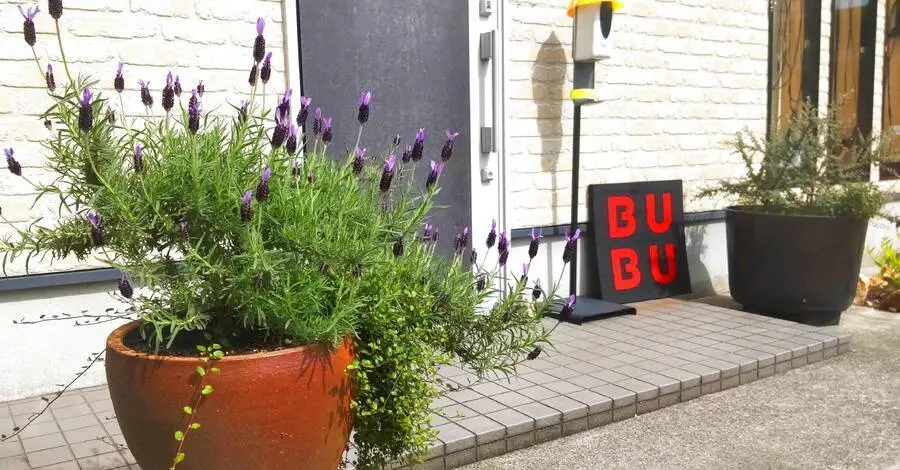 滋賀県彦根市の美容室BUBUの落ち着いた店舗外観