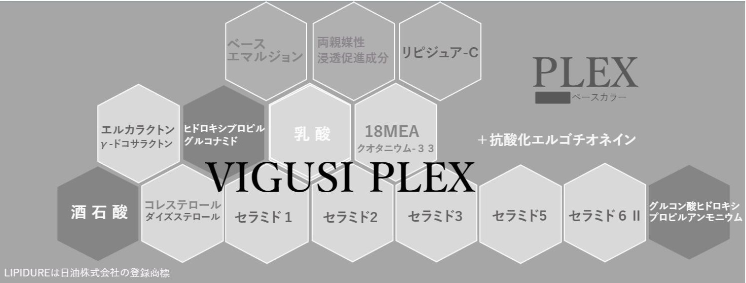 ハイダメージケアしながらサラサラ　VIGUSIPLEXの成分イメージ