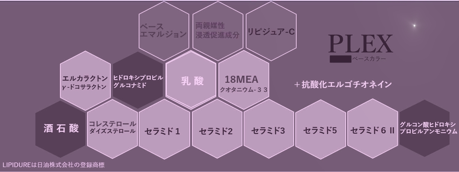 VIGUSI PLEXの高濃度Wプレックス処方の成分構成図。ブリーチ毛の内部補修に対応するナノ成分の解説図。
