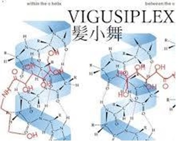 ハイダメージケアのアウトバストリートメントならVIGUSI PLEX